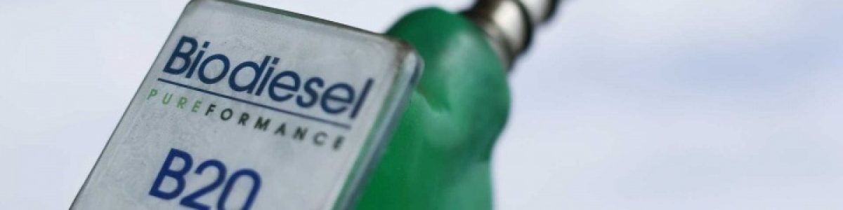 Sabia que o gasóleo contém óleo de palma? Não sabia, mas paga mais por menos qualidade