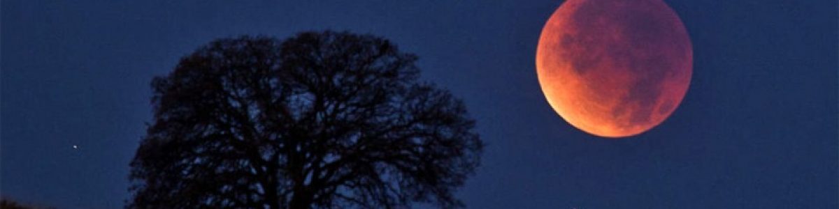 Eclipse lunar total na madrugada do dia 21 de janeiro