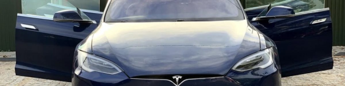 Tesla disponibiliza “Dog Mode” e “Sentry Mode” nos seus veículos