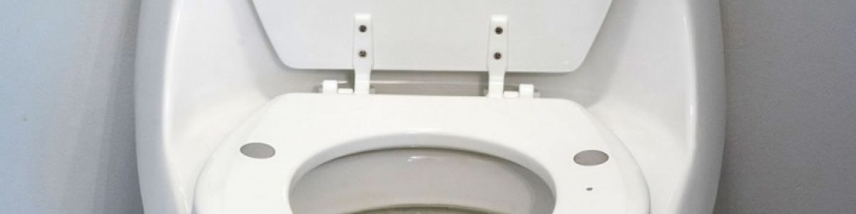 Assento de sanita de alta tecnologia pode detetar insuficiência cardíaca