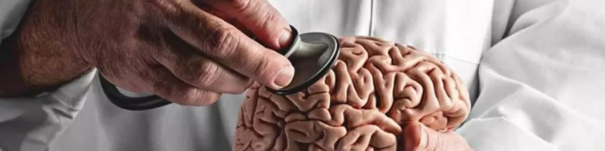 Cérebro de porco ressuscitado parcialmente mais de quatro horas após a morte