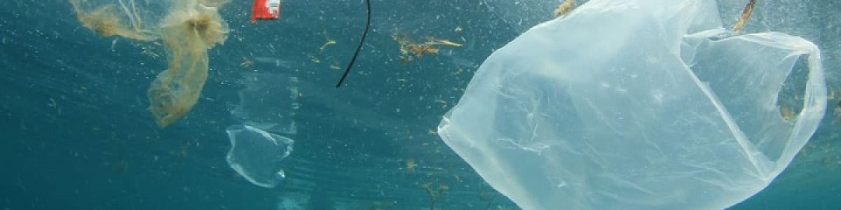 Micróbios que comem plástico poderão ser solução para poluição dos oceanos