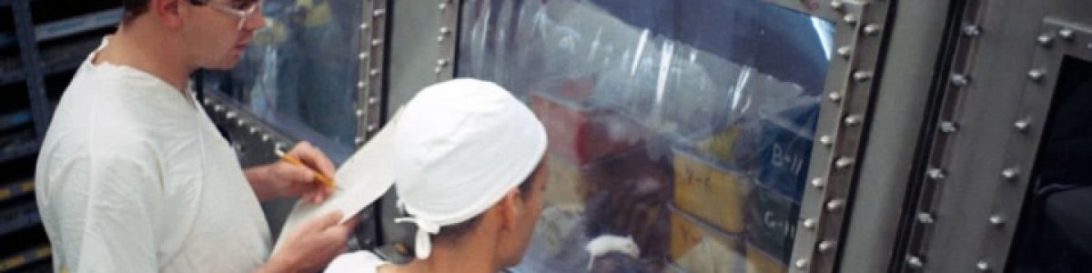 NASA alimentou baratas com rochas lunares da Apollo 11 e fez outros testes estranhos