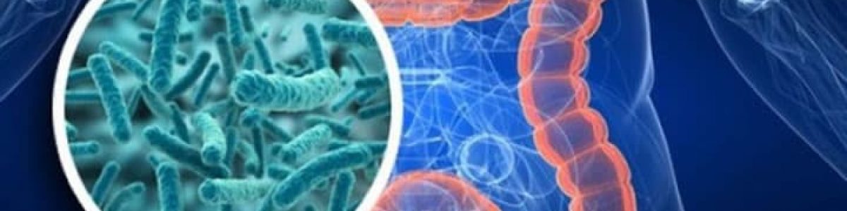 Cientistas descobrem que os micróbios no intestino são capazes de prever a nossa morte