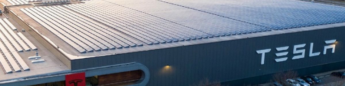 Tesla ganha em Tribunal e pode continuar a construção da fábrica na Alemanha