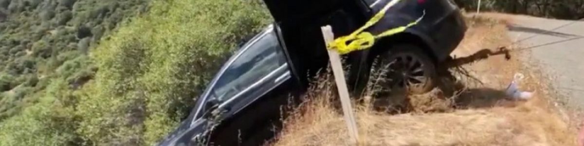 Tesla Model X salva a vida a condutor após evitar queda num declive