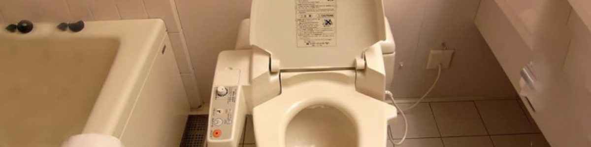 Smart toilet 2.0: Investigadores criaram “sanita inteligente” que deteta sinais de várias doenças