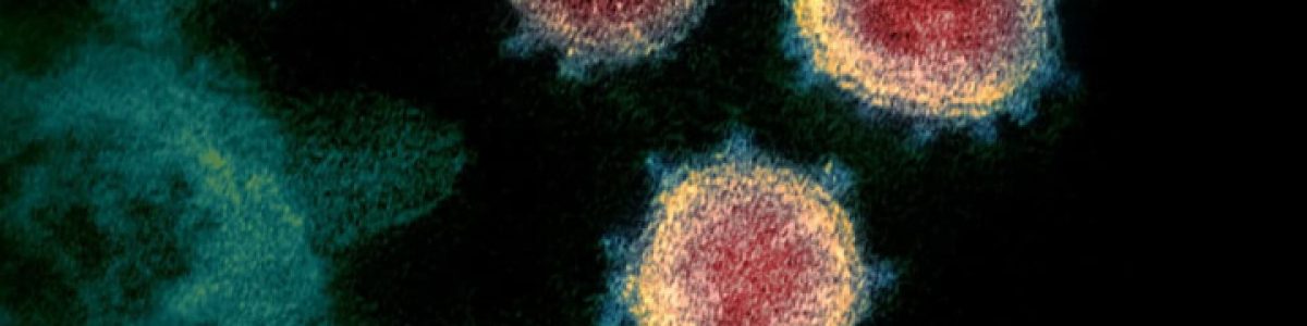 Cientistas descobrem que molécula é usada pelo Coronavírus para atacar as células