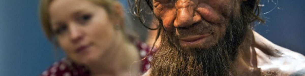 Supercomputador diz que “fomos nós” que aniquilámos os neandertais