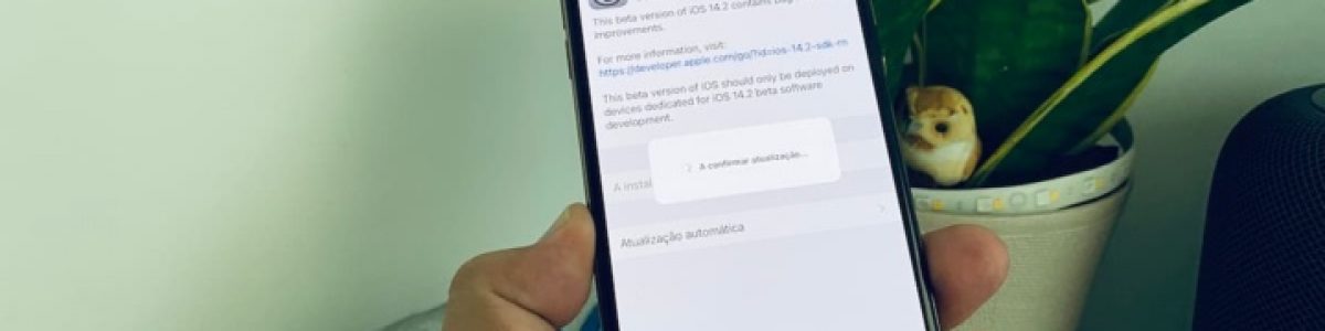 Não instale o iOS 14.2 beta se tem intenção de comprar o iPhone 12 logo que saia