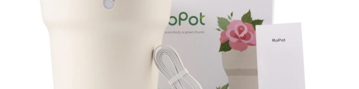 Xiaomi lança um vaso inteligente que avisa quando se deve regar a planta