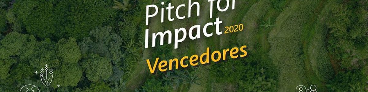 Microsoft anuncia projetos vencedores do Pitch for Impact