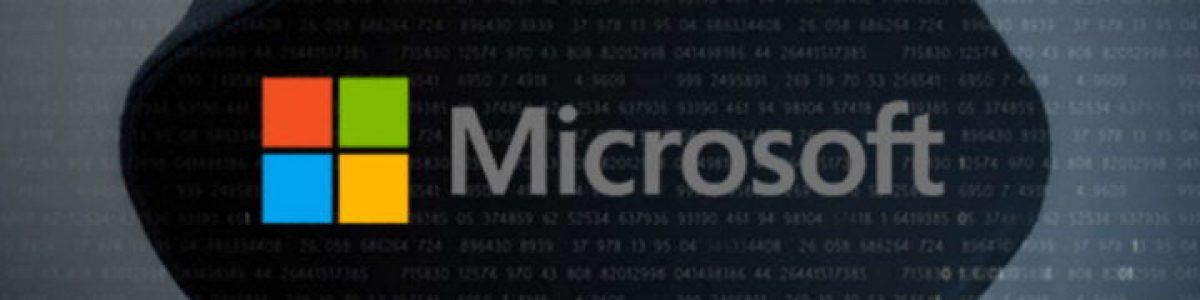 Project Zero da Google volta a revelar uma falha de segurança grave no Windows 10