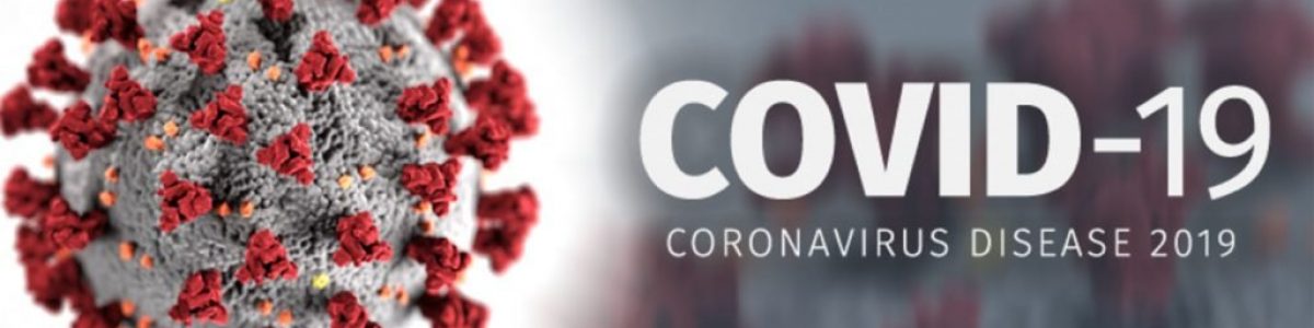 Investigadores testam uso da inteligência artificial no diagnóstico da Covid-19