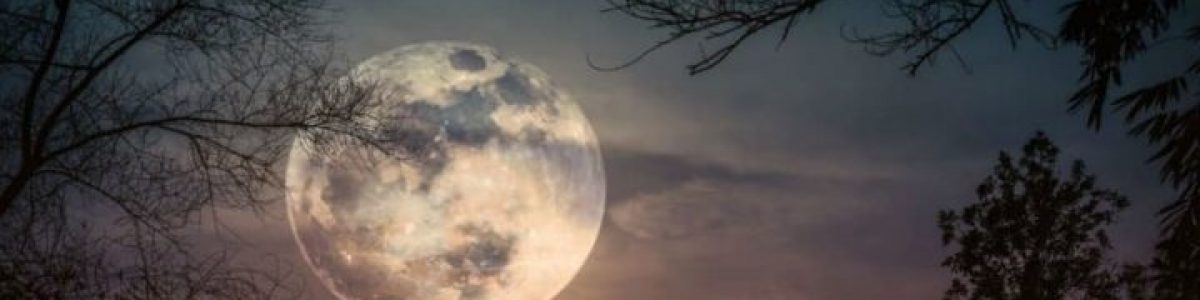 A Lua ausentou-se do céu e agora sabemos finalmente por quê