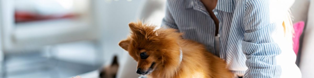 Como pode o smartphone ser um aliado da tua relação, mesmo quando vives em distanciamento social?