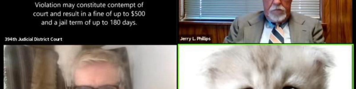 Gato aparece em reunião de Zoom em vez de um advogado