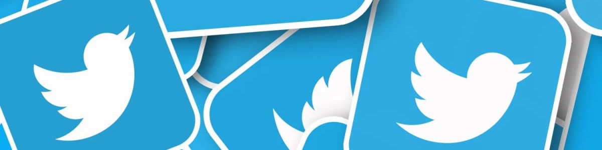Afinal, um dos recursos mais aguardados do Twitter poderá estar limitado a contas pagas