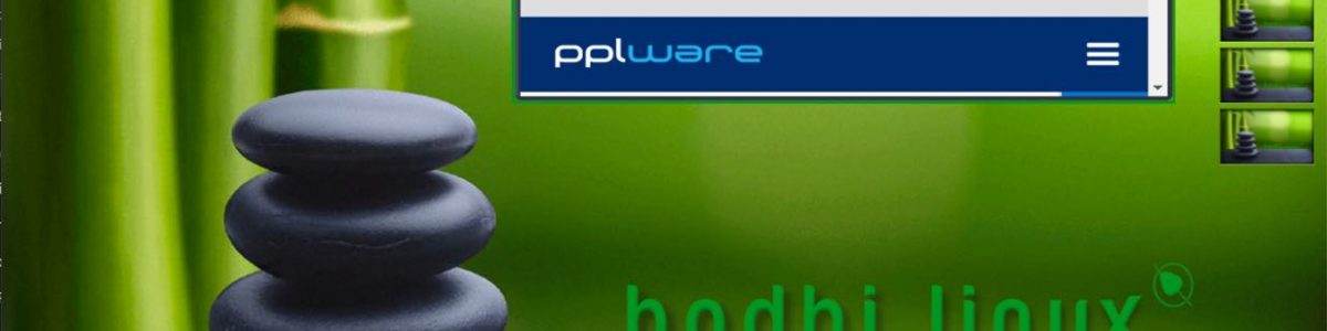 Bodhi Linux 6.0.0: Distro baseada no Ubuntu com interface levezinha