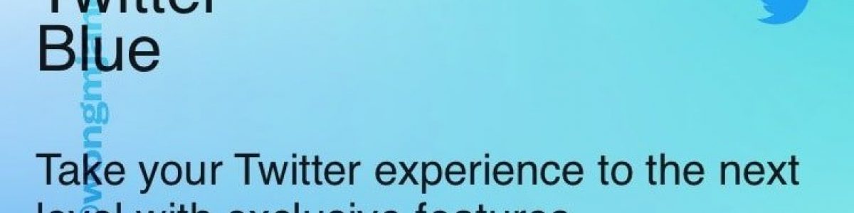 Twitter confirma “oficialmente” o Twitter Blue: subscrição premium da rede social