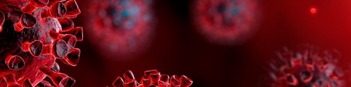 COVID-19: Bactérias do intestino produzem compostos que inibem o vírus