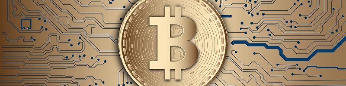 CEO da Coinbase responde ao criador da Doge e diz que as criptomoedas dão liberdade
