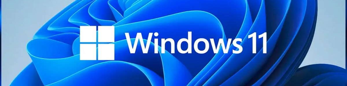 Dica: Esconder a Reciclagem no Windows 11 é simples! Veja como o pode fazer