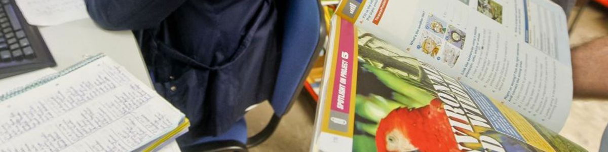 Manuais escolares gratuitos: Levantamento de vouchers já disponível