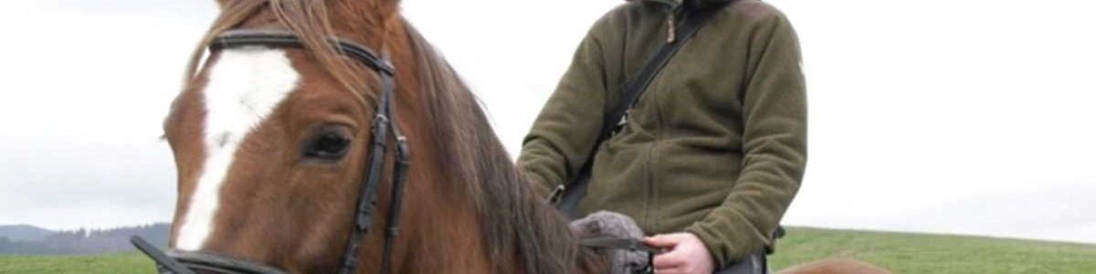 A sua Internet é lenta? Na Alemanha um cavalo ganhou uma corrida a um simples upload