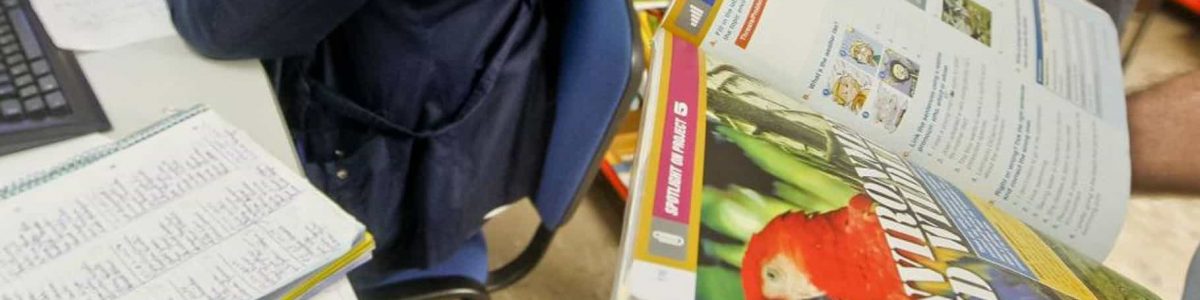 Plataforma Mega: Início de aulas com alunos sem manuais escolares