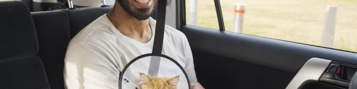 Vai viajar de carro e leva o seu animal de estimação? Atenção às multas