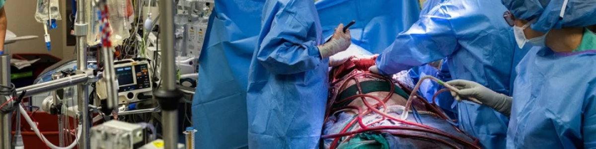 Paciente sobreviveu 48 horas sem pulmões enquanto aguardava transplante
