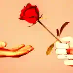 Mão humana recebendo uma rosa vermelha de uma mão robótica, simbolizando a conexão entre humanos e inteligência artificial.
