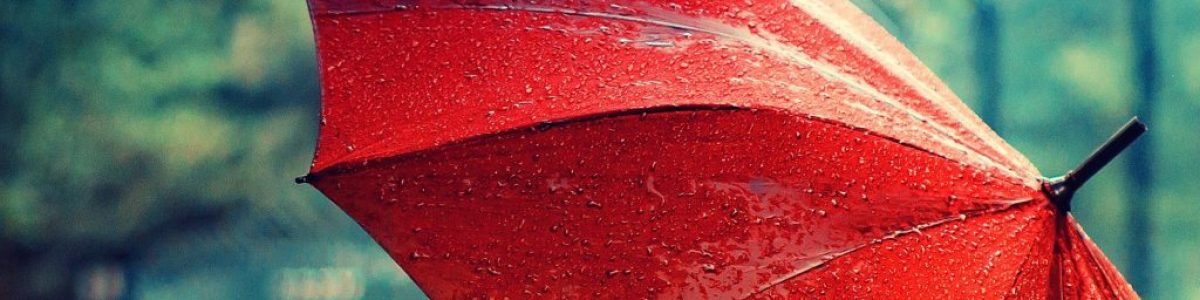 IPMA lança alerta para os próximos dias: chuva, neve e vento forte