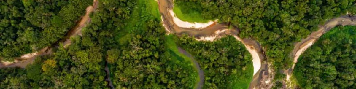 Logótipo da maior floresta do mundo foi desenhado pelo próprio rio. Veja o resultado!