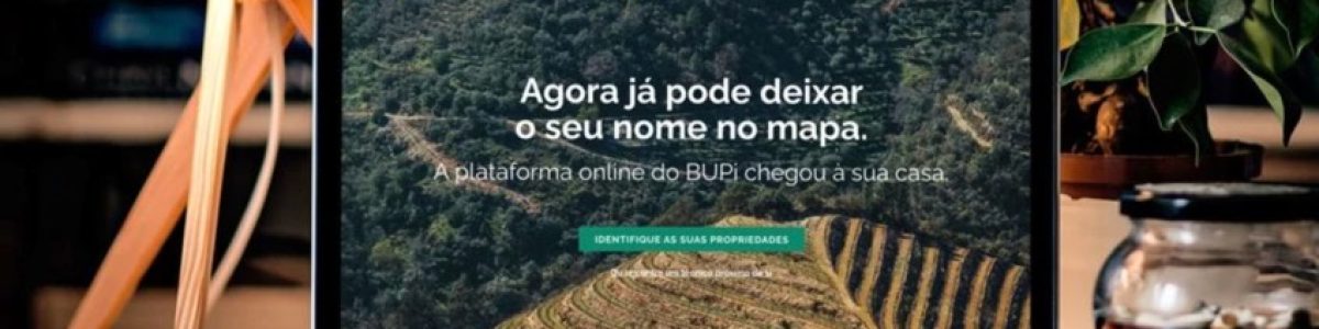 Governo prolonga gratuitidade do BUPi até setembro de 2026