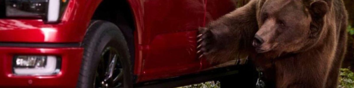 Sim, a Ford contratou um urso de 360 kg para tentar arrombar a sua nova F-150