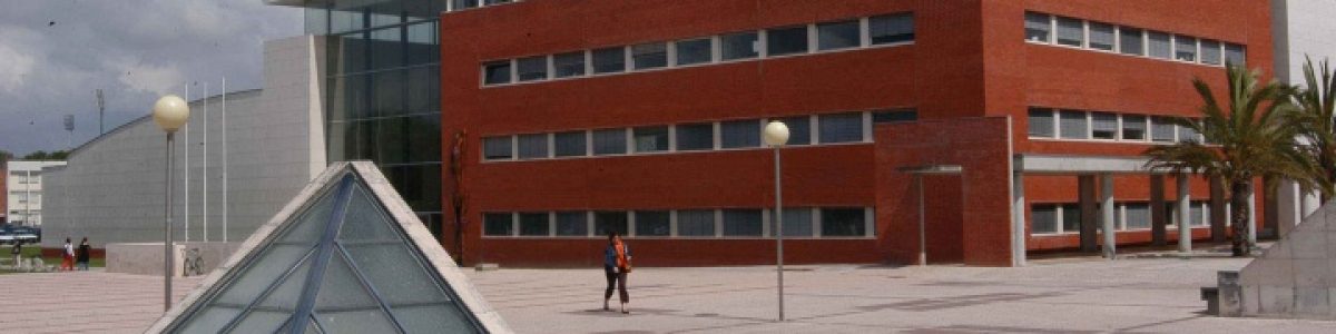 Universidade de Aveiro anuncia estágios para licenciados por… 120€