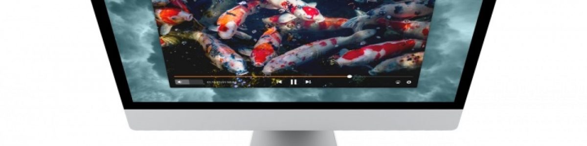 Elmedia Player: um dos melhores media player para macOS