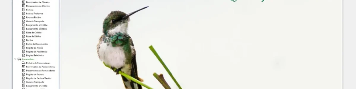 Projeto Colibri reforça a resiliência digital em cenários de emergência